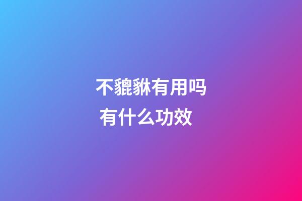 不貔貅有用吗 有什么功效